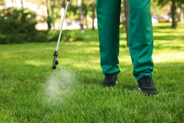 Professional Pest Control in Addis, LA